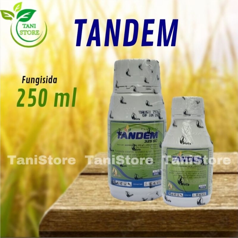 FUNGISIDA TANDEM 325 SC_Mengendalikan penyakit pada Padi, kakao dan bulai pada jagung