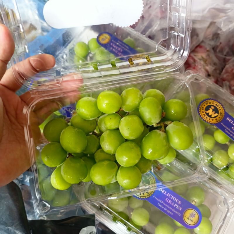 

Anggur shine Muscat 1 pack