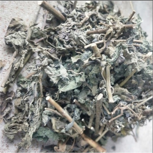 

DAUN KIRINYUH KERING / Daun marenggo kering