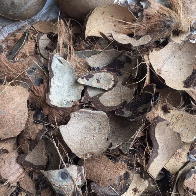 

Batok kelapa batok kelapa kering bahan arang 1kg
