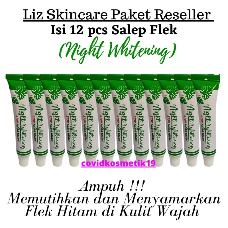 PAKET RESELLER 12 PCS SALEP FLEK LIZ SKINCARE/ NIGHT WHITENING LIZ SKINCARE