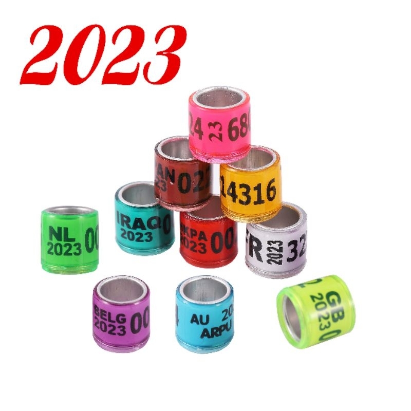RING IMPORT MERPATI 2023 CUCI GUDANG MURAH MERIAH
