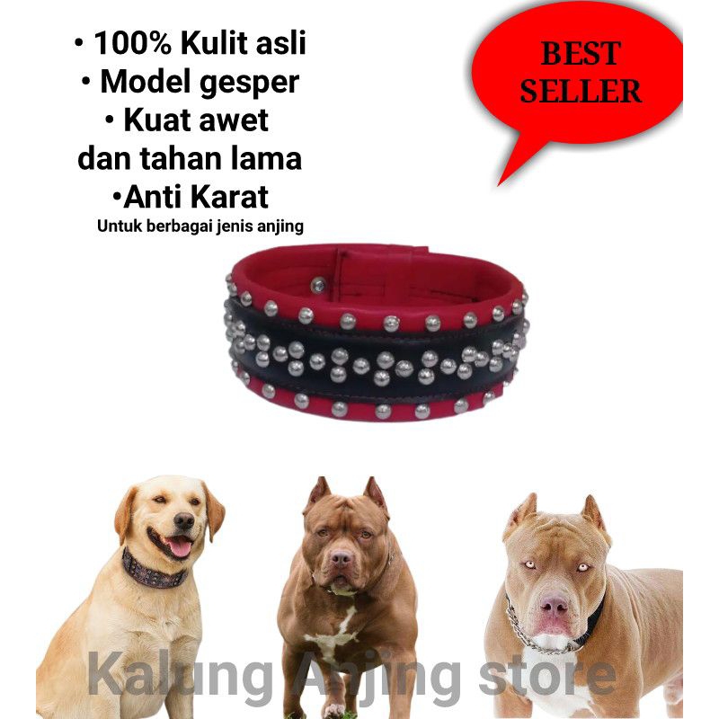 KALUNG ANJING KULIT ASLI