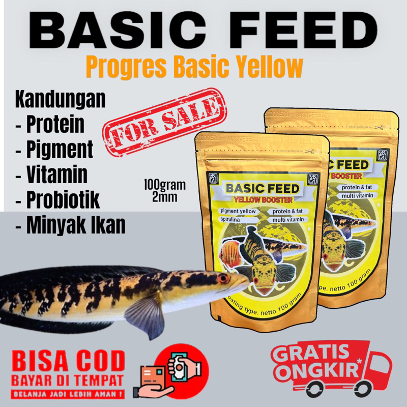 marulioides | progres yellow | pelet ikan channa maru yellow sentarum