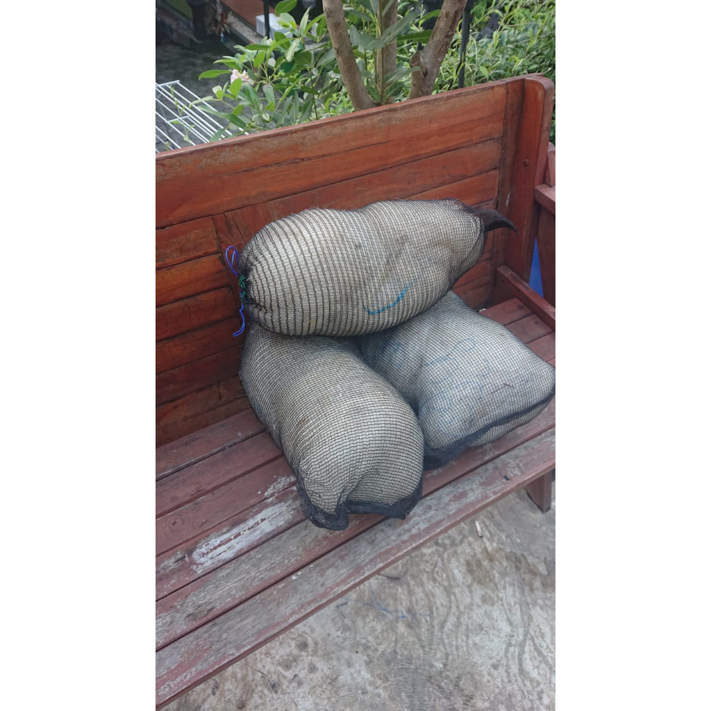 FIlter Kolam Ikan Koi Jaring Nelayan