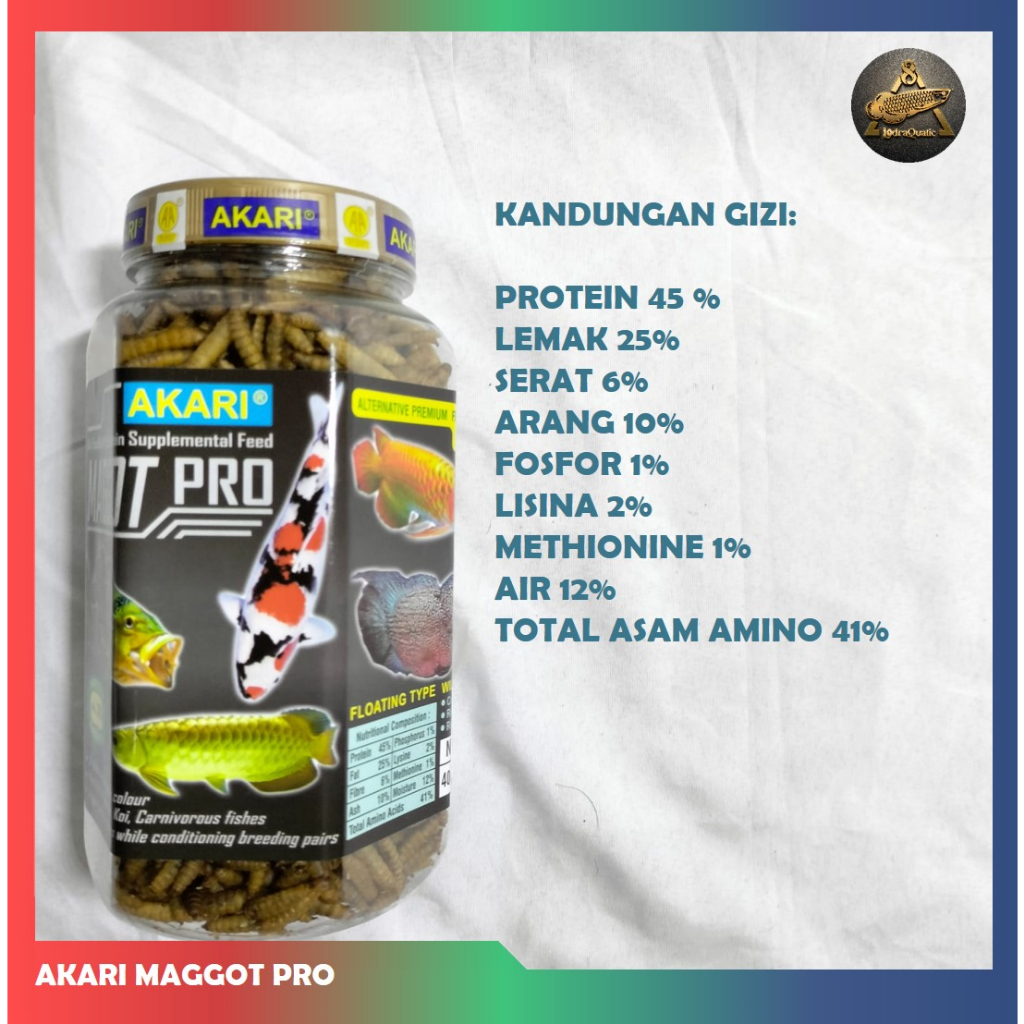 AKARI MAGGOT PRO MAGGOT KERING PAKAN AKARI MAGGOT PRO BOOSTER WARNA IKAN PREDATOR MAGGOT KERING CHANNA PAKAN IKAN CHANNA PELET CHANNA PAKAN IKAN PREDATOR MAGGOT KERING MERAH KUNING BIRU BOOSTER WARNA IKAN CHANNA PAKAN IKAN PREDATOR