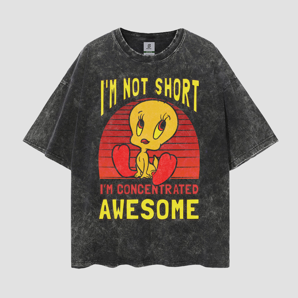 Tweety Bird Awesome Vintage Style Oversize Washed Tee