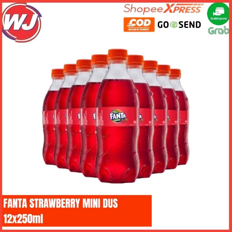 

FANTA STRAWBERRY MINI DUS 12x250ml