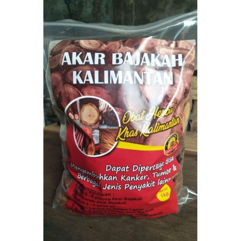 akar bajakah kalimantan