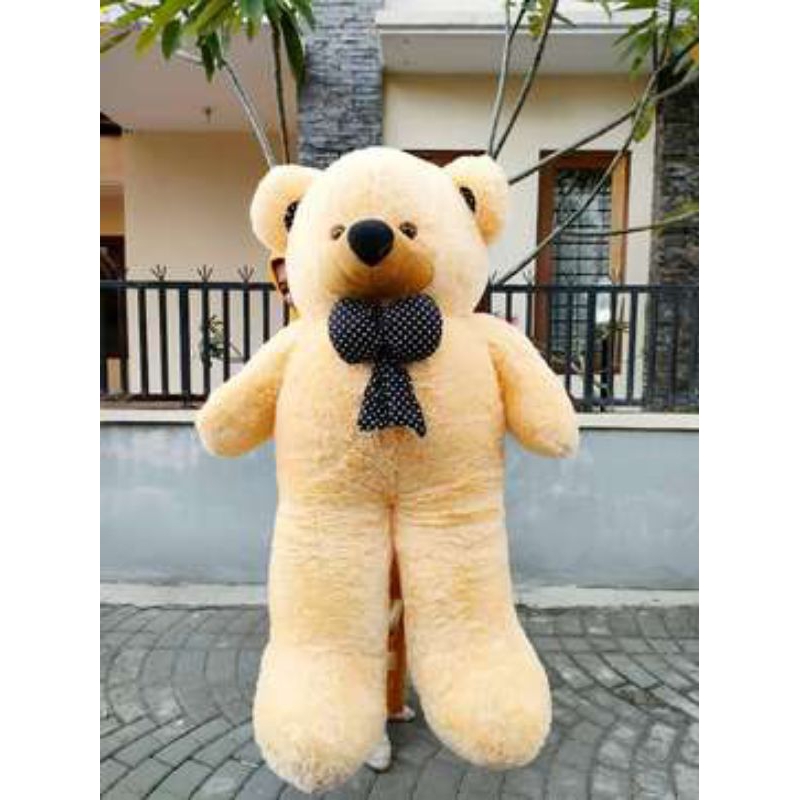 Boneka Teddy bear Jumbo Beruang Real Tinggi 2 meter SNIi