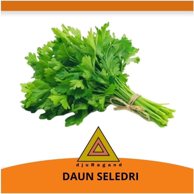 

Daun seledri 125 gram
