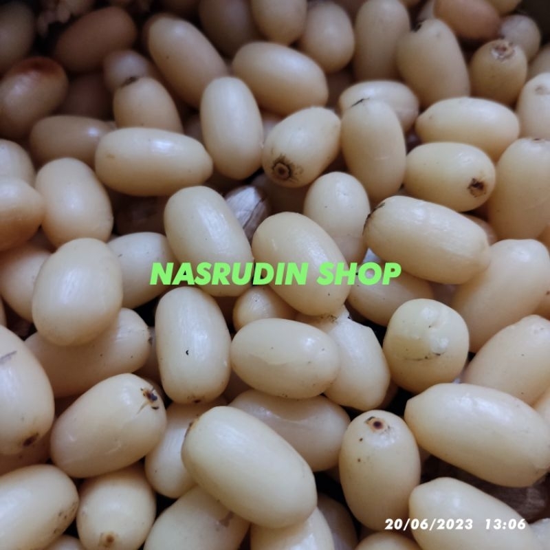 

BUAH MELINJO KUPAS BERSIH / BIJI MELINJO KUPAS BERSIH