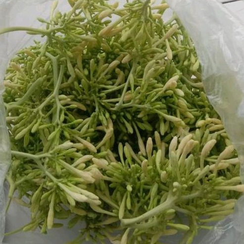 

Kembang pepaya gantung 1kg
