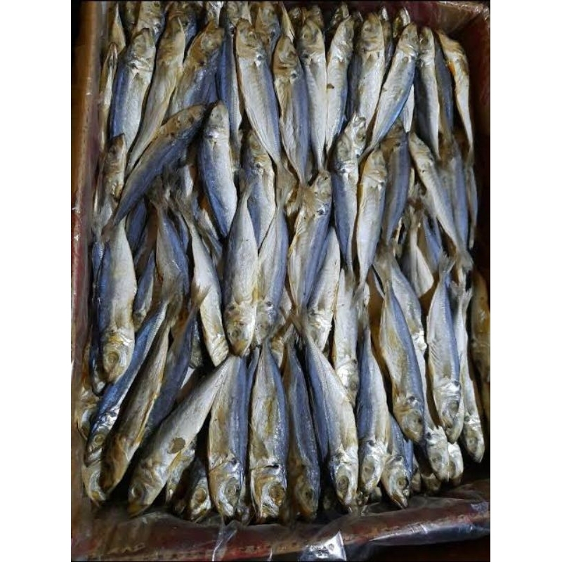 

Ikan Asin Pindang/Pedo per 100 gram/1 ons