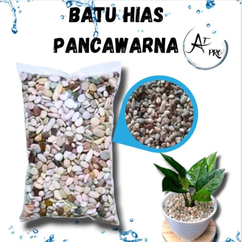 Hiasan Dekorasi Taman Aquarium BATU PANCAWARNA 1KG