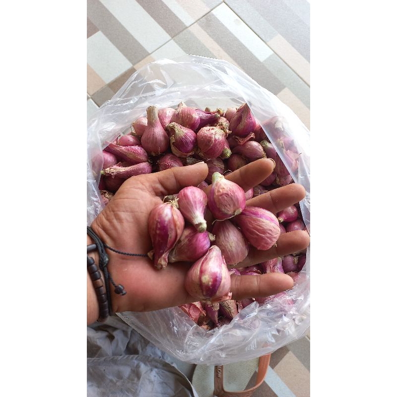

bawang merah brebes