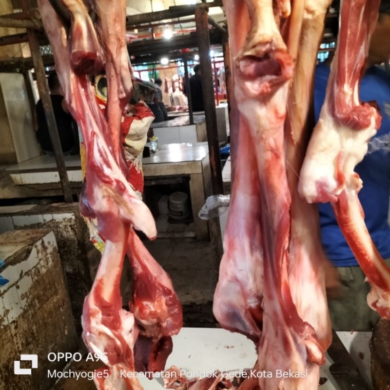 

Tulang sumsum kambing 1kg