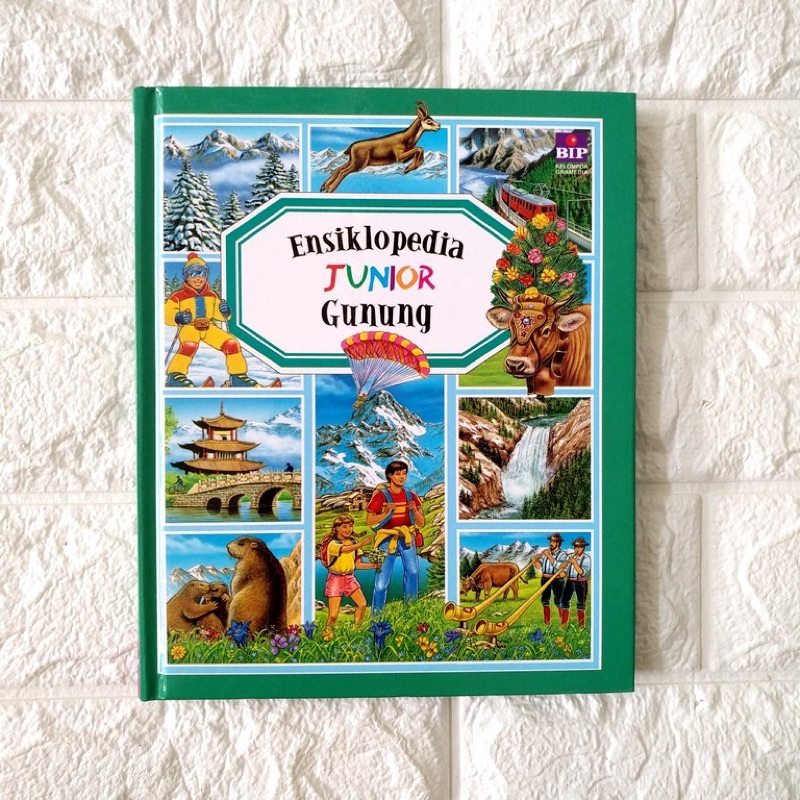 ENSIKLOPEDIA JUNIOR - GUNUNG