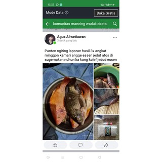 10 Pcs Reseller Essen Ikan Nila Mujaer Mujair  Esen Lumut Lukut Jedud