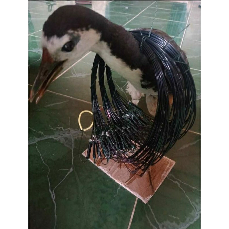 Jontrot ruak ruak / MUMI / patung asli