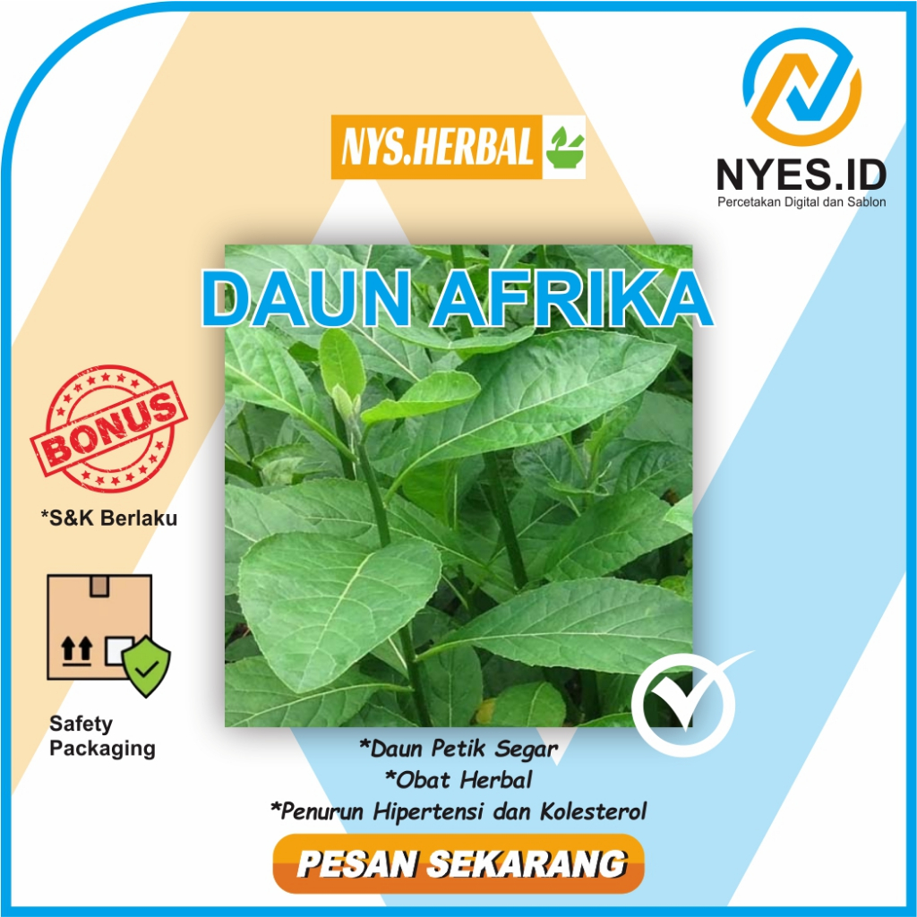 

Daun Afrika Segar 50 helai
