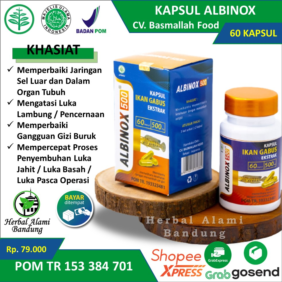 Kapsul Albinox Minyak Ikan Gabus Albinox Albumin Obat Luka Cepat Kering Pasca Operasi