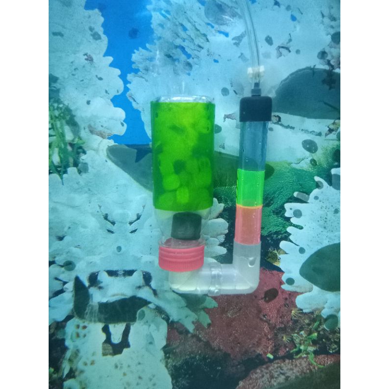 BIO SPONGE FILTER DAN AIR LIFT FILTER MEDIA PENJERNIH AIR AQUARIUM CANTIK
