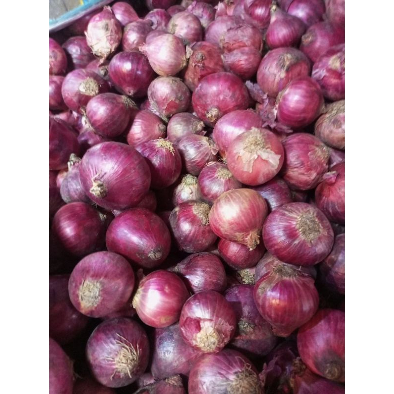 bawang putih 500gram fresh