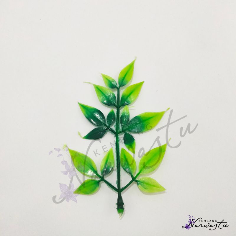 Daun belimbing Hiasan Kue Hiasan Aquarium Daun Corderia (Harga/250 Gram)