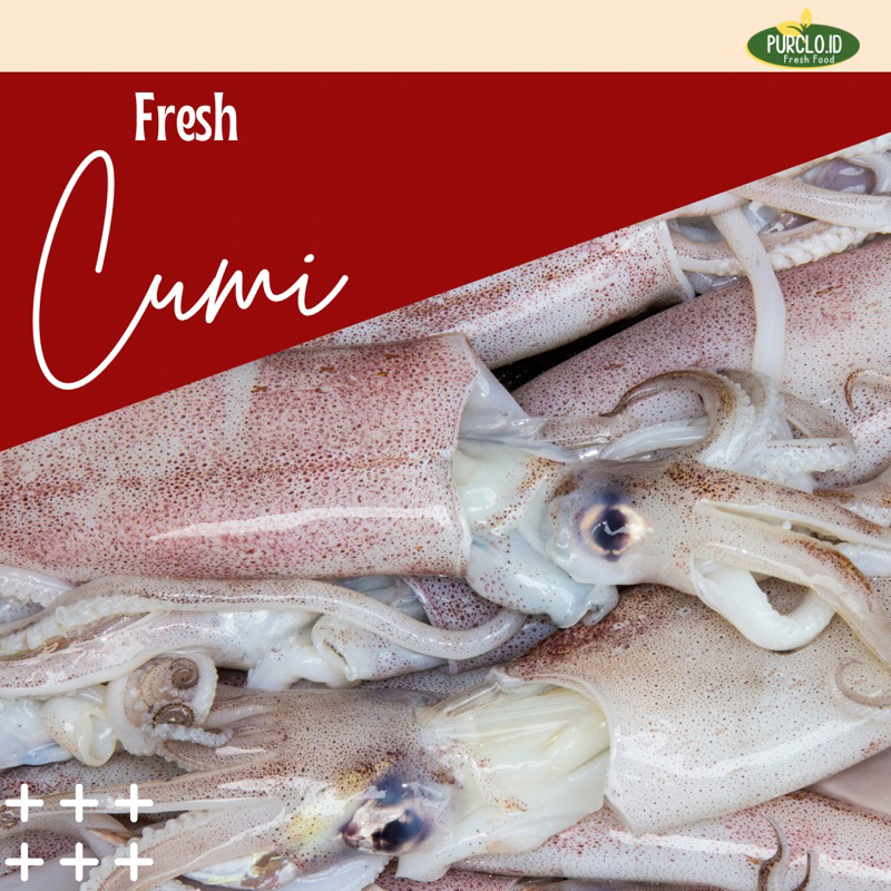 cumi / gurita / balakutak segar bandung fresh purnamajaya instant sameday