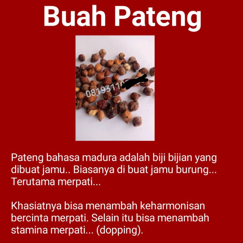 

Buah Pateng Madura Stamina Joss Merpati Paket A