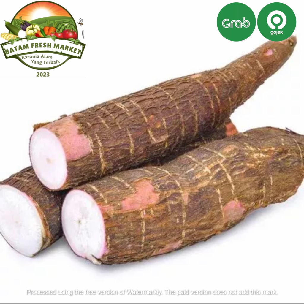 

Singkong Fresh
