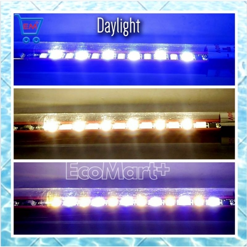 Lampu KANDILA N50 LED Day &amp; Night View Lampu Celup 3 Mode Lampu Aquarium Kolam GRATIS PIPA PARALON