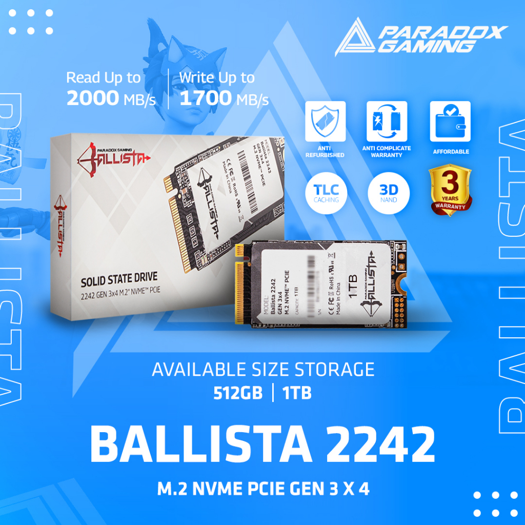 PARADOX GAMING BALLISTA SSD M2 2242 512GB PCIe With NVMe