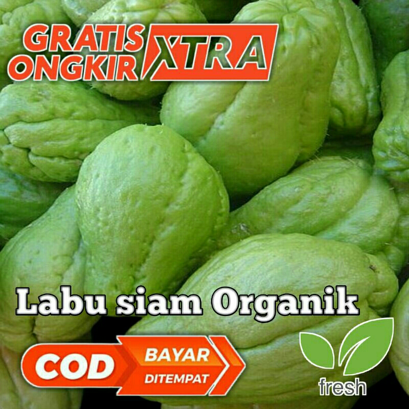 

labu siam lokal besar segar per 500 gram