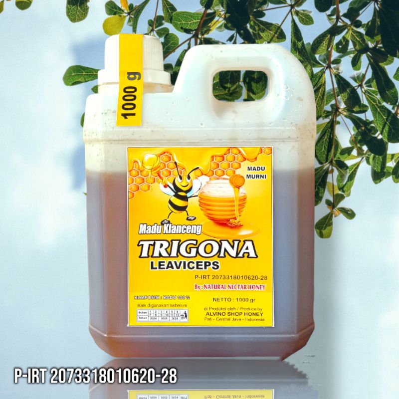 

Madu Klanceng/Trigona Leaviceps [ 1kg-500gr] 100% Original