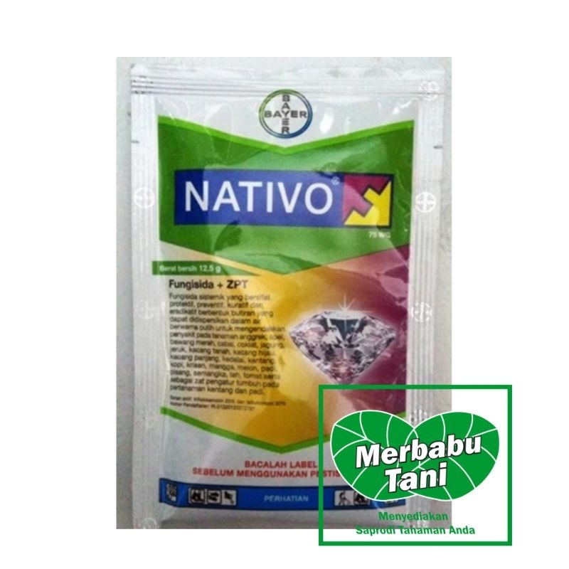 FUNGISISA NATIVO 12,5 GRAM