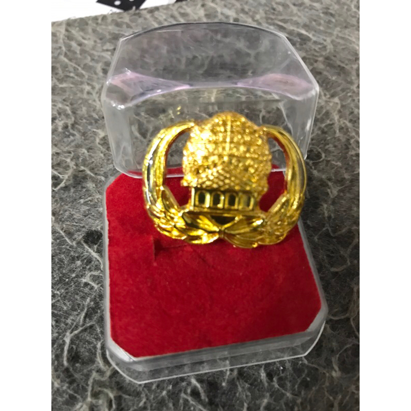 Lencana pin KORPRI peniti dilapis coting resin