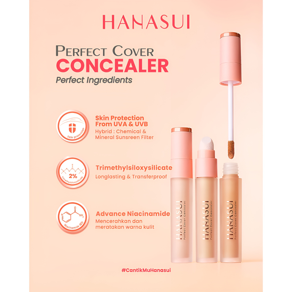 Ningrum – HANASUI Perfect Cover Concealer 4.5g | Original BPOM 100% - 5037