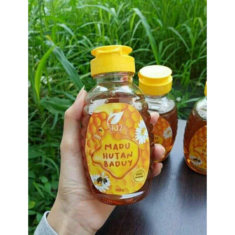

Madu Lebah Desa