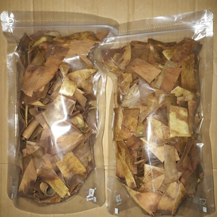 

Daun karet kebo kering obat stroke//tanaman herbal