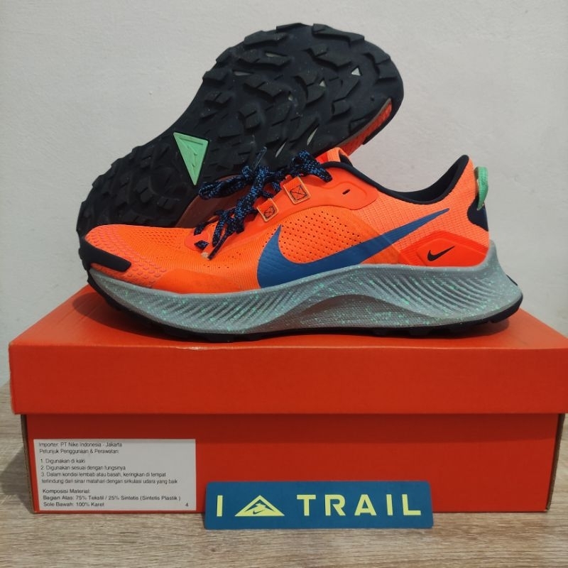 Nike Pegasus Trail Run 3