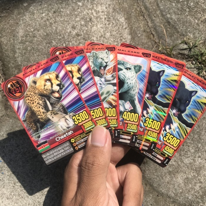 animal kaiser bundling normal ori (25 kartu)