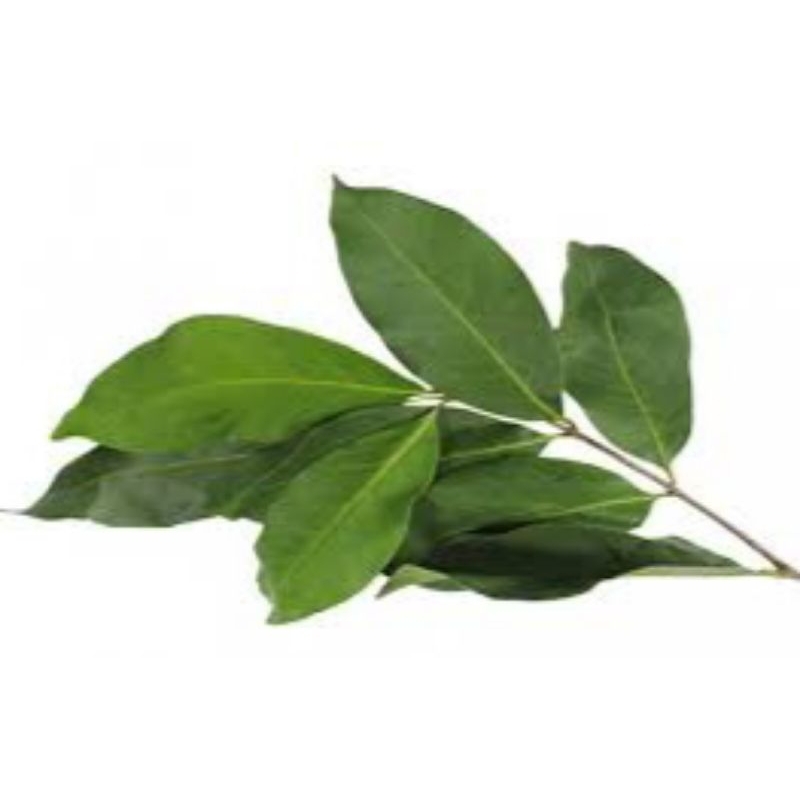 

Daun Salam 1 ikat