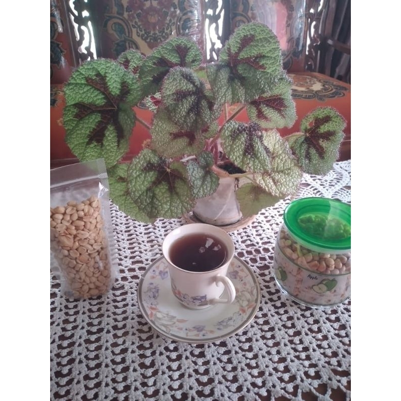 

kacangbawang