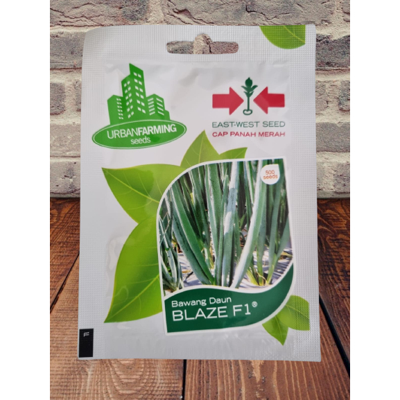 Benih Bawang Daun Hibrida BLAZE F1