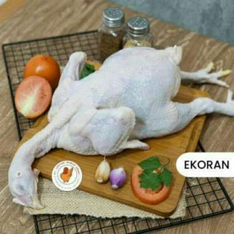 

Ayam ekoran uk 1kg