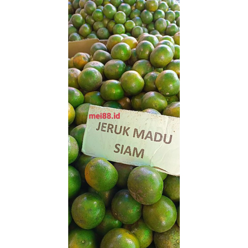 

jeruk madu manis