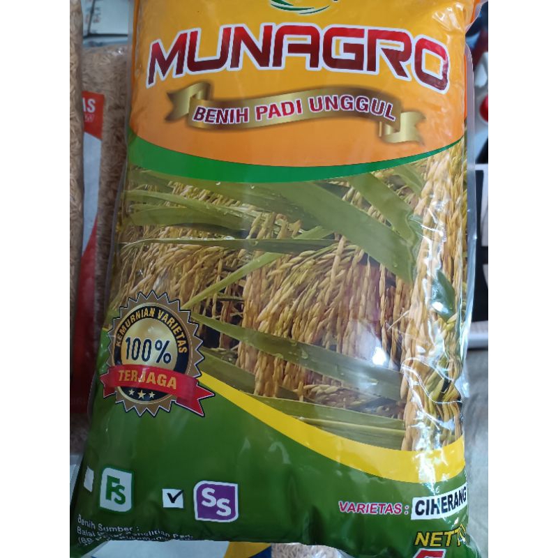 Benih Padi Ciherang Label Ungu Munagro 5Kg