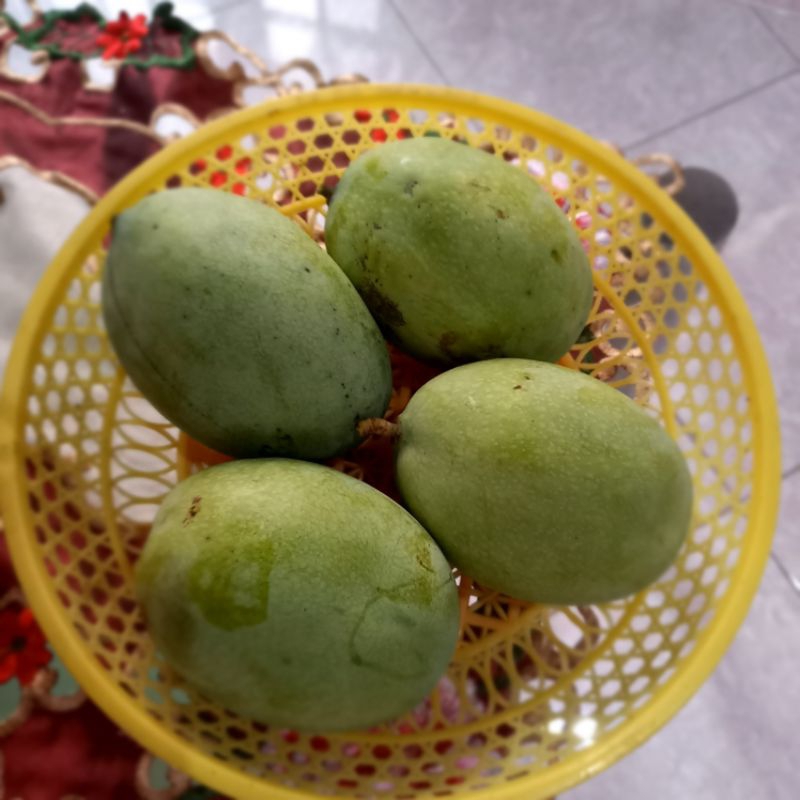 

Mangga Madu